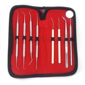 8 pcs oral hygiene kit plaque remover professional dental picks for teeth, scraper, serrated tweezers, mouth mirror, double ended picks for gum care set - stainless steel with carrying case