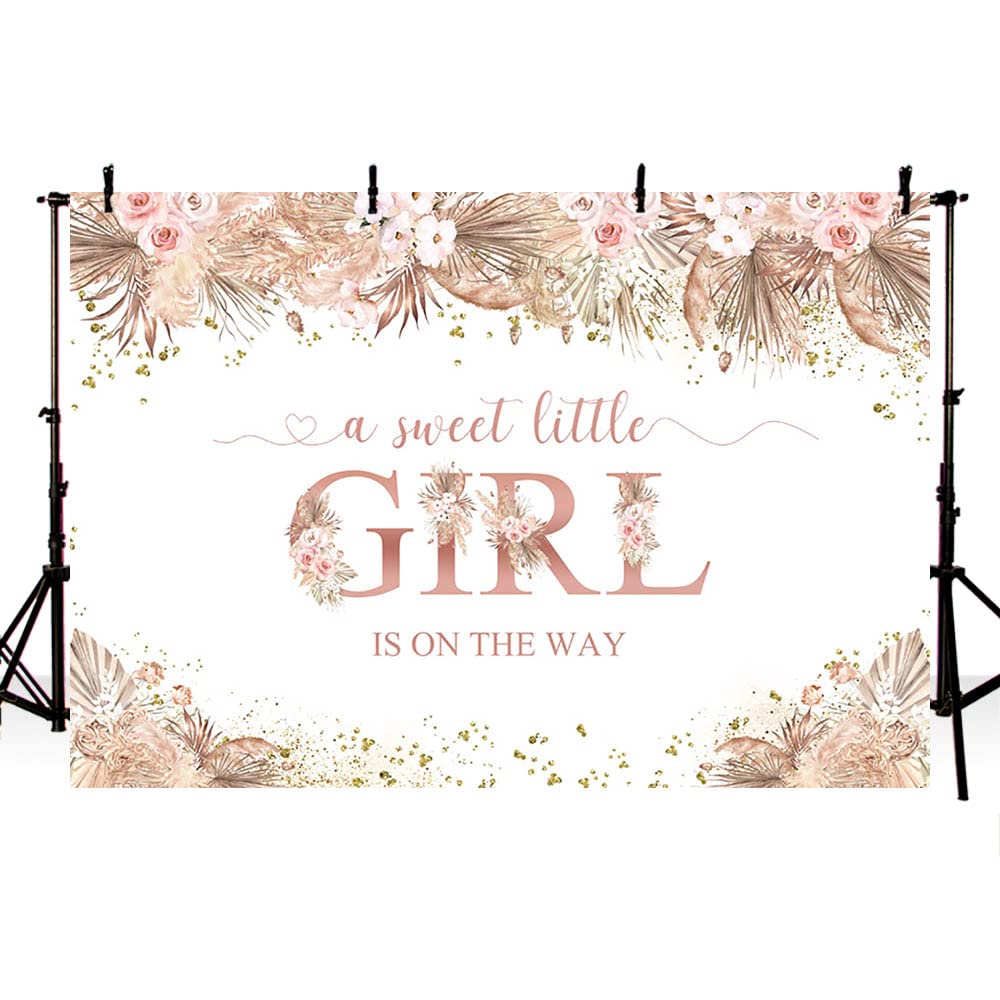 AIBIIN Boho Baby Shower Backdrop Pink Pampas Grass Baby Girl Shower Decoration Backdrop Banner Boho A Sweet Baby Girl is On The Way Backdrop Background for Cake Table Supplies Vinyl 7x5ft