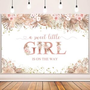 AIBIIN Boho Baby Shower Backdrop Pink Pampas Grass Baby Girl Shower Decoration Backdrop Banner Boho A Sweet Baby Girl is On The Way Backdrop Background for Cake Table Supplies Vinyl 7x5ft