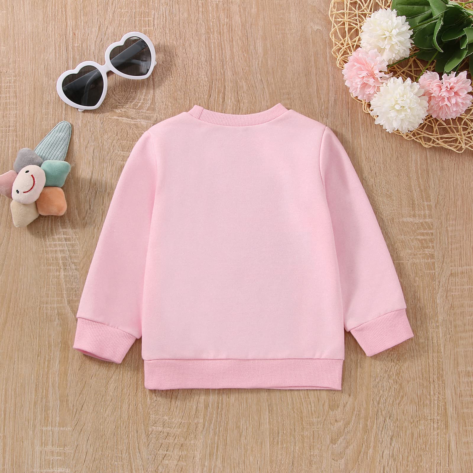 Twopumpkin Toddler Valentine's Day Shrit Baby Girl Letter Print Outfit Crewneck Sweatshirt Long Sleeve Holiday Sister Matching Clothes 2-3T V Fries Before Guys Pink