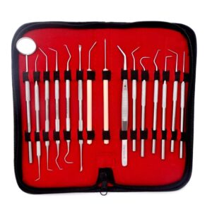 15 pcs oral hygiene kit plaque remover professional dental picks set double & single ended picks + scraper, mouth mirror & tweezers for gum care cleaning set stainless steel with carrying case