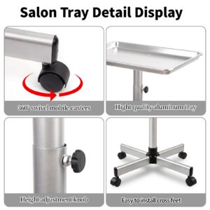 Salon Tray Cart,Aluminum Instrument Salon Tray on Wheels,Height Adjustble Storage Utility Cart,Hair Salon Tray,Tattoo Tray on Wheels