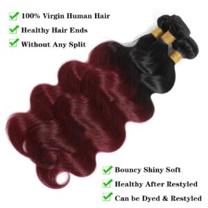 Kapelli Hair 10A Ombre Brazilian Hair Body Wave (T1B/99J,16" 18" 20") Ombre Human Hair 3 Bundles Ombre Brazilian Human Hair Virgin Remy Hair Bundles 2 Tone Black to Burgundy Human Hair Weave