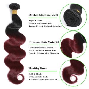 Kapelli Hair 10A Ombre Brazilian Hair Body Wave (T1B/99J,16" 18" 20") Ombre Human Hair 3 Bundles Ombre Brazilian Human Hair Virgin Remy Hair Bundles 2 Tone Black to Burgundy Human Hair Weave