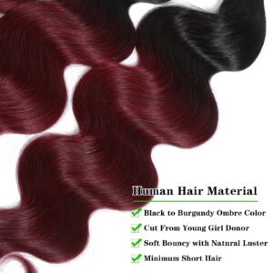 Kapelli Hair 10A Ombre Brazilian Hair Body Wave (T1B/99J,16" 18" 20") Ombre Human Hair 3 Bundles Ombre Brazilian Human Hair Virgin Remy Hair Bundles 2 Tone Black to Burgundy Human Hair Weave