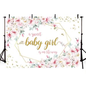 AIBIIN 7x5ft Floral Baby Shower Backdrop Baby Girl Pink Floral A Sweet Baby Girl is On The Way Baby Shower Photo Background Baby Girl Baby Shower Decorations Newborn Banner Supplies