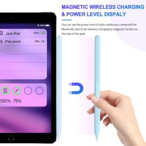 Stylus Pen for Touch Screens, iPad Pencil 2nd Generation with Wireless Charging