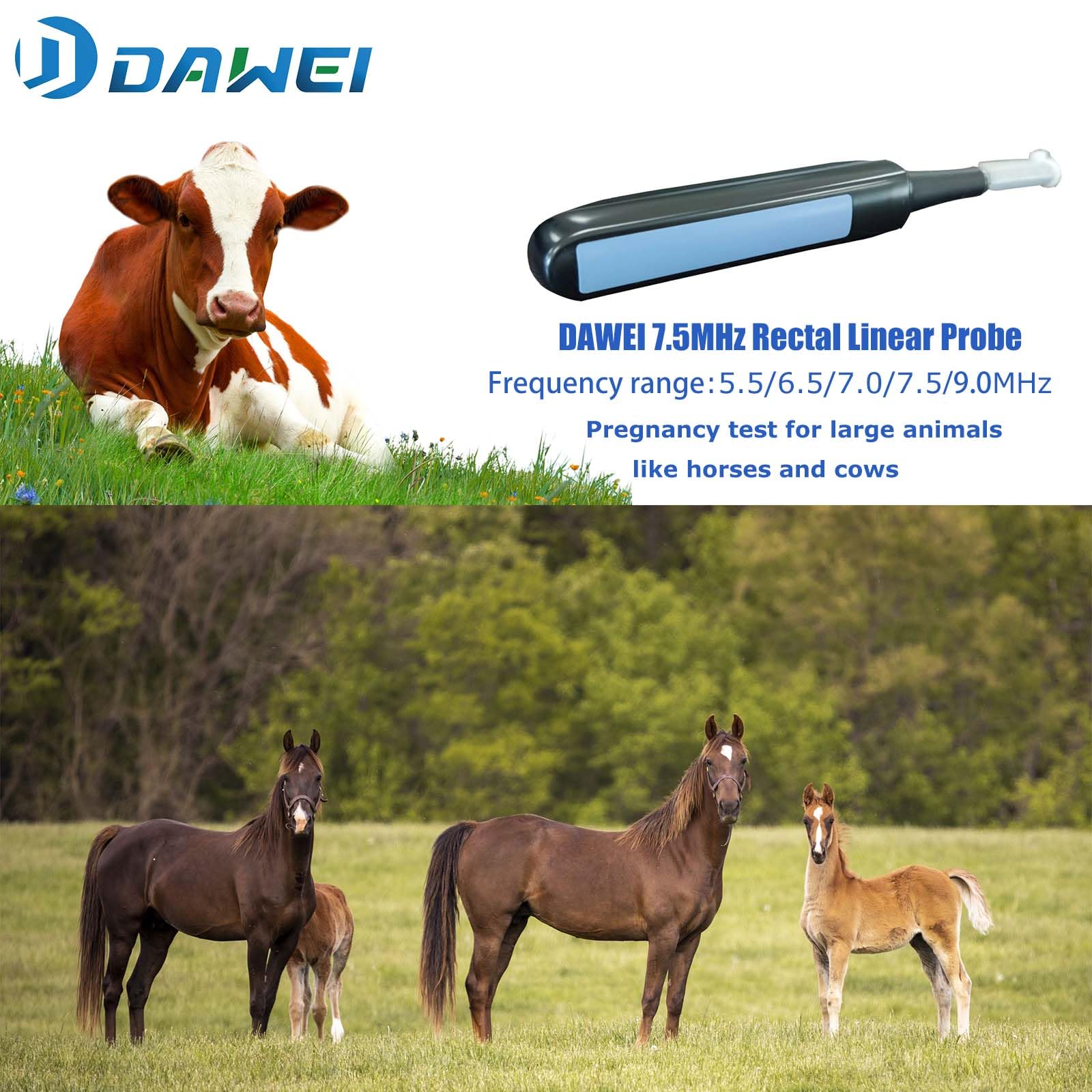 DAWEI S1 Vet Ultrasound Machine For Pregnancy Veterinary Ultrasound Scanner with 7.5Mhz Rectal Probe For Animals Cattle,Horse,Pig,Goat