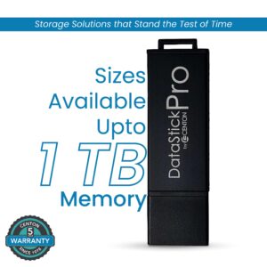 Centon Electronics DataStick Pro USB 3.2 Gen1 Flash Drive, 128 GB, 5 USB Flash Drives, 5 Bulk Pack, Black