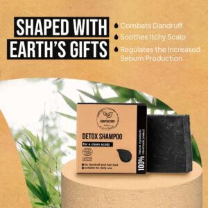 SoapFactory Dandruff Shampoo Bar for Oily Hair, Organic Hair Soap with Activated Charcoal for Men and Women, 100% Natural, Vegan, Handmade, 3 ounce