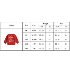 Infant Baby Girl Boy Valentine 's Day Outfit Long Sleeve Crewneck Sweatshirt Pullover Tops Shirts Fall Winter Clothes (V-Red, 6-12 Months)