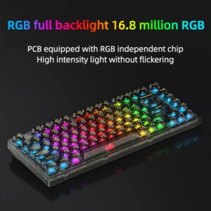 KEYXGSUL 75% Keyboard, X75 Hot Swappable Mechanical Keyboard, 82 Keys Compact Gaming RGB Keyboard with Stand-Alone Arrow/Control Keys for Windows and Mac (Crystal White Switch, Transparent Black)