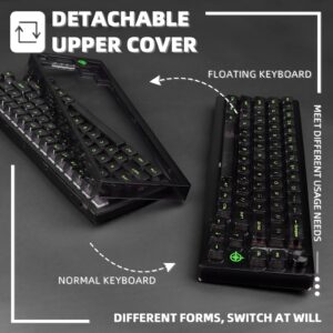 65% Hot-Swap Wired Mechanical Gaming Keyboard Programmable with Transparent 66 Key Full Side RGB OWERTY Linear Ice White Switch Custom Coiled C to A Cable Media Knob 2-IN-1 Case for WIN/PC/MAC(Black)