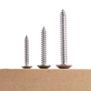 #6 x 1/4 (100 pcs) Truss Head Wood Screws, Self Tapping Screws, 304 Stainless Steel 18/8, Mushroom Head, JISB1122T