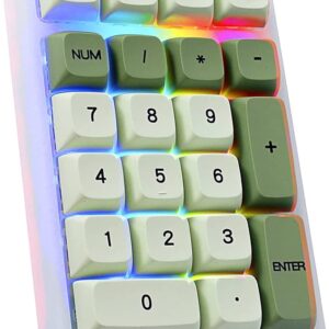 BOYI TD21 Hot Swappable Numpad,21 Keys Mini Numpad Portable Keypad Bluetooth 5.0/2.4GHz/Wired Number Pad Keyboard PBT Keycaps RGB Backlit Type-C Mini Keyboard (Matcha Green XDA Keycaps)