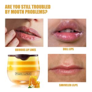 Honey Lip Balm Pot, Propolis Lip Mask, Strawberry Hydrating Propolis Lip Sleeping Mask, Prevent Dry&Cracked, Lip Repair Nourishes the Lip Skin (Honey & Strawberry)