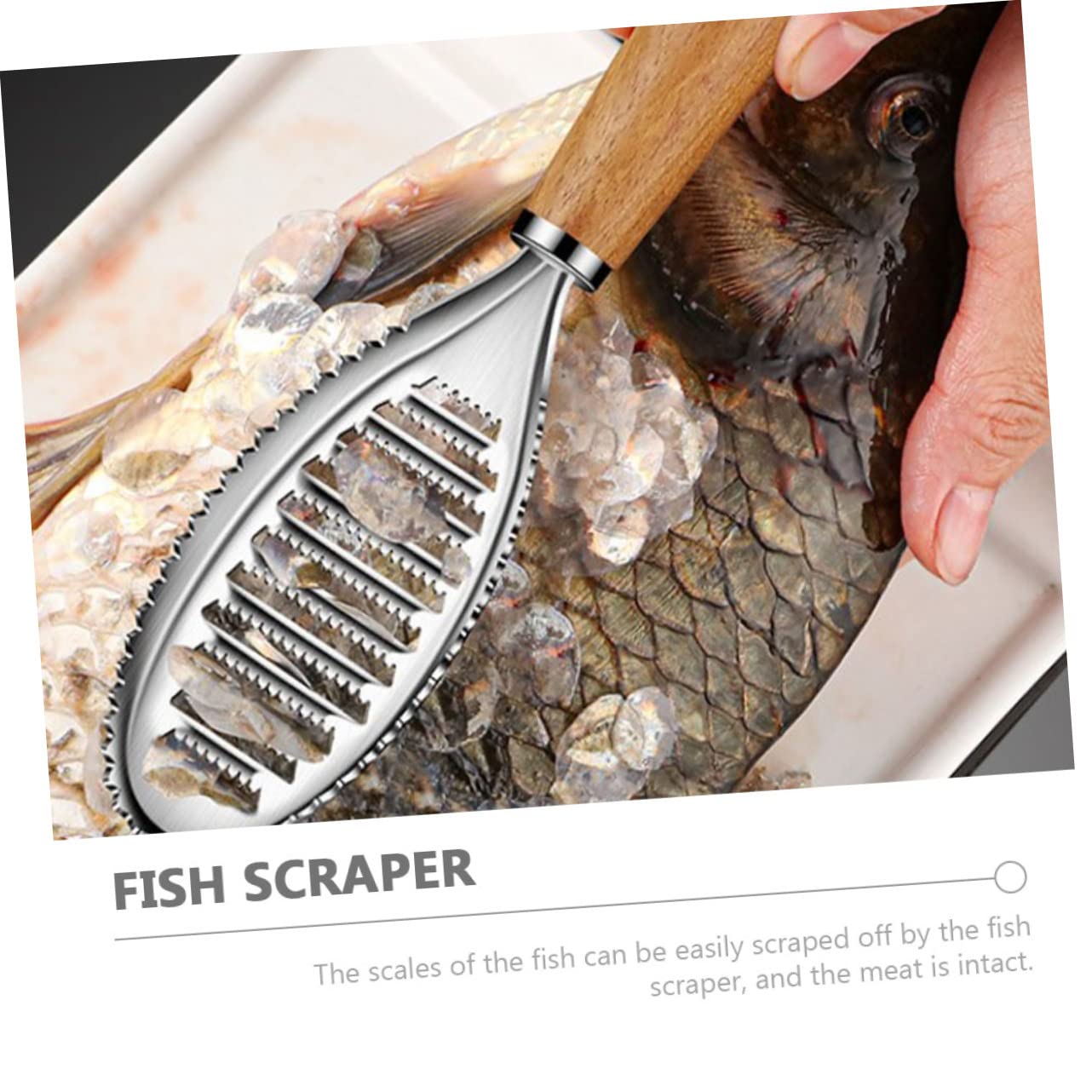 UPKOCH Fish Scaler Fish Scraper Fish Skin Graters Cleaning Fish Peeler Fish Scale Skinner Meat Remover Fish Cleaning Shredder Hand Tools Fish Skin Cleaning Peeler Wood Toothbrush Major