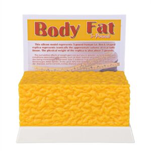 simcoach human body fat replica 5 lbs, keep fit & weight loss motivation & reminder, silicone human fatty tissue demonstration model for nutritionist, athlete