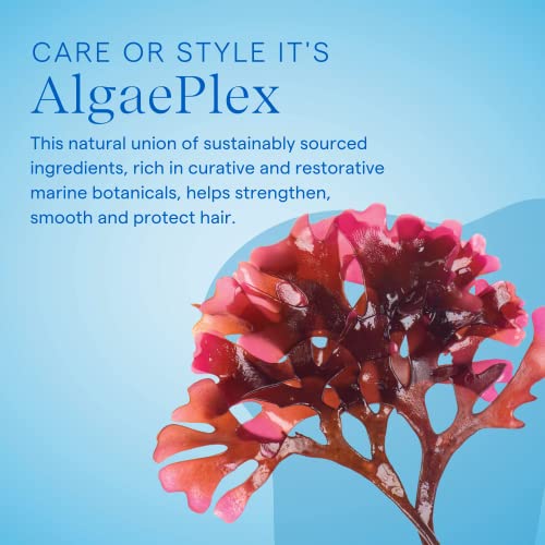 AQUAGE. Healing Conditioner – Contains AlgaePlex Marine Botanicals to Moisturize and Repair Dry or Damaged Hair and Build Strength from the Inside Out, 8 oz