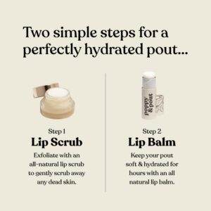 Poppy & Pout Lip Care Set | Lip Balm & Scrub | Sustainable Cardboard Tubes & Glass Jars, All Natural, Beeswax, Coconut Oil, Cruelty Free, Exfoliating & Moisturizing Lip Treatment (Marshmallow Cream)