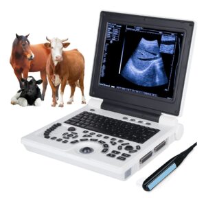 ultrasound scanner veterinary machine laptop 12 inch portable black white doppler farm animals pregnancy convex probes, with usb port, for animal horse equine goat dog cat sheep rectal linear probe