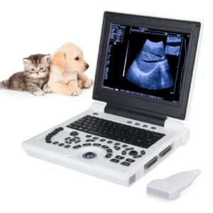 vet veterinary use portable laptop b-ultra sound dual probe socket, 12-inch hd display, imt automatic measurement, b-ultrasound machine handscan rechargeable ultrasound for horse, cattle, dog, cat