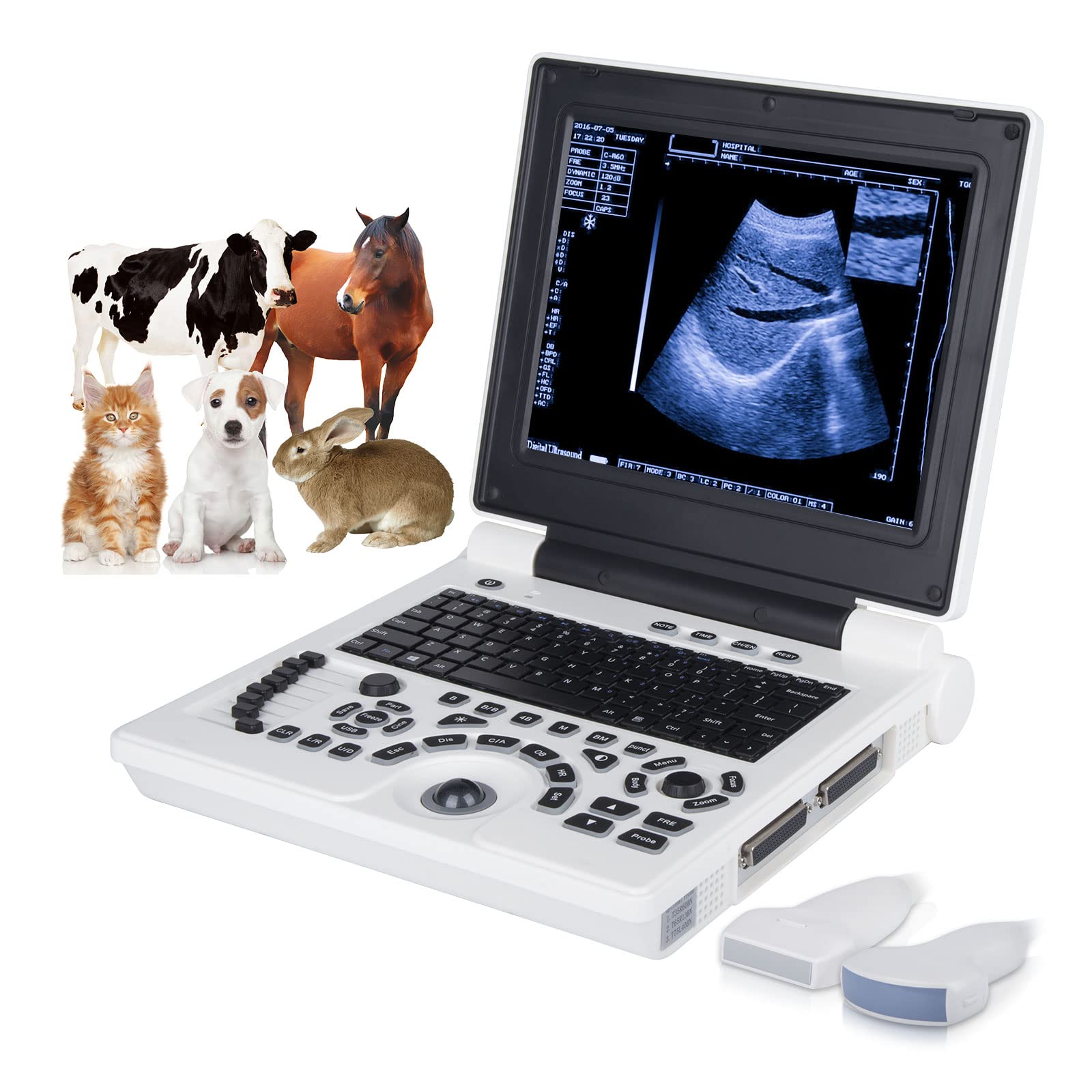 Animals Vet Veterinary Ultrasound Handheld Scanner Portable Black White Doppler Ultrasound with Waterproof Probe for Horse Equine Pig, Sheep, Dog Use, Convex and Linear Probes