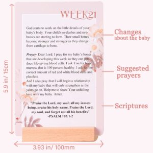 Sincerez Pregnancy Prayer Cards,First Time Mom to Be Gift,Pregnancy Must Haves,Pregnancy Journals Gifts for First Time Moms,Pregnancy&Baby Announcement,Expecting Parents to Be, Milestone Cards