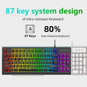 Septpenta Mechanical Gaming Keyboard, RGB 87 Keys Ultra Slim LED Backlit Wired Keyboard, Dual Color Injection Keycaps, Ergonomic Keyboard, Compatible with Win7, Android, OS, Etc