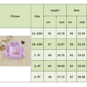 Kayotuas Toddler Valentines Day Shirt for Boys Girls Cute Letter Print Long Sleeve Top Crewneck Sweatshirt Fall Winter Clothes (Purple LOVE, 2-3 Years)