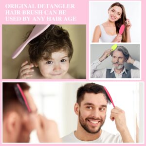 Nuenen 6 Pcs Wet Detangler Hair Brush Travel Dry Hair Brushes Detangling Hairbrush with Soft Bristles for Women Men Girls Boys(Bright Colors)