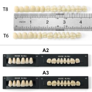 Dental Acrylic Resin Synthetic Polymer Resin Teeth Shade A2 Size T8 (28Pcs/Set)