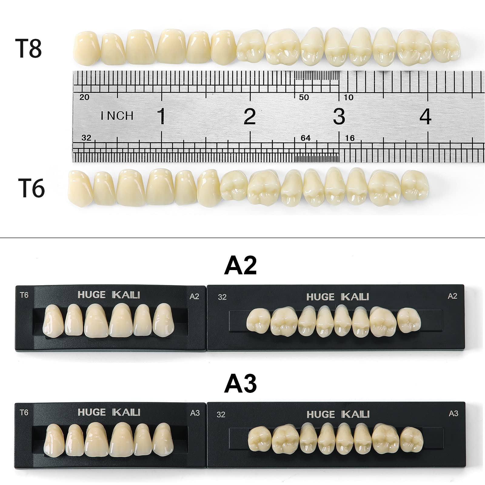 Dental Acrylic Resin Synthetic Polymer Resin Teeth Shade A2 Size T8 (28Pcs/Set)