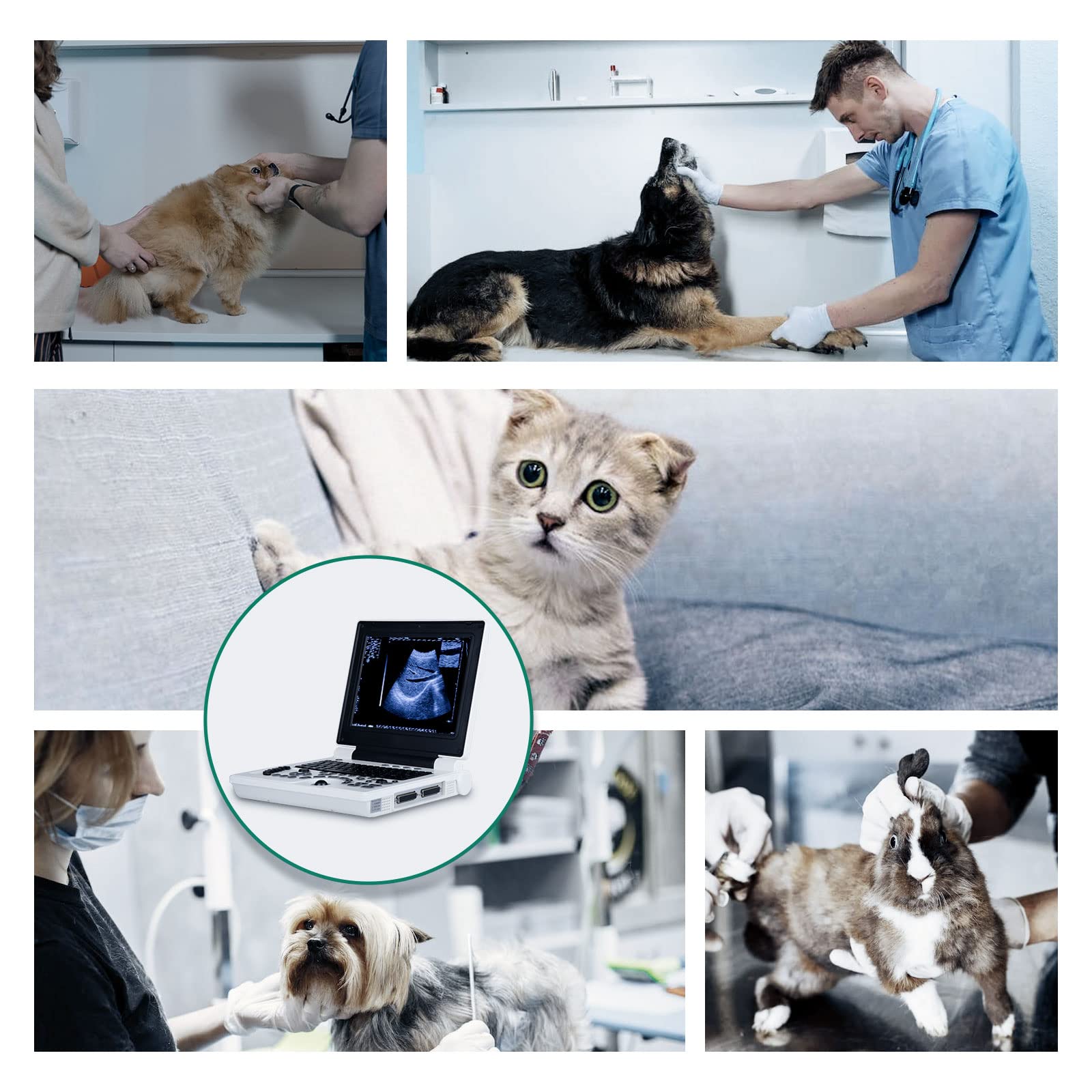 Ultrasound Scanner Veterinary Pregnancy with 3.5 MHz Convex Probe, B, BB, BM, 4B, PW Display Modus, Dual Probe Interface 12-Zoll HD Display, Batterie 3200mA, for Animal Horse Goat Dog Cat Sheep Pig