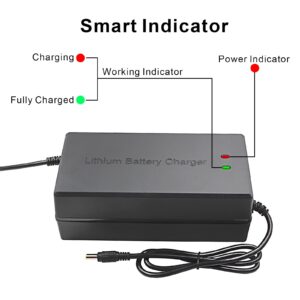 Tnvodejo 58.8V 5A Li ion Battery Charger Multiple Plugs Battery Charger 14S 48V (Not Applicable to Lead-Acid Batteries)