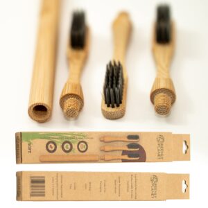 greenlyplanet Biodegradable Bamboo Toothbrush with 3 Replaceable Heads, Soft and BPA Free Bristle Travel Tooth Brush, Eco Friendly Sustainable Natural Disposable Wooden Toothbrushes