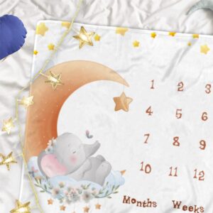 QICAIYUN Baby Milestone Monthly Blanket Elephant Desgin Baby First Year Calendar Growth Chart Play Mat Large 48" x48'' Baby Photography Props YUNBTZT114