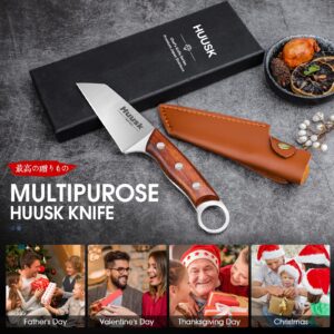 Huusk Japan Knife Small Meat Knife Portable Kitchen Knives for Steak Fruit Carbon Steel Boning Knife Vegetable Knife with Sheath Outdoor Cooking Knife for Kitchen BBQ Fishing and Camping, 4.25''