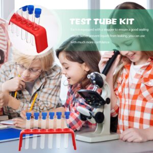 Plastic Test Tube Set with Rubber Stoppers and Plastic Rack, Includes 12pcs Test Tube and 2pcs Storage Stand, Science Learning Tools, Test Tube Vial Shot Plastic Holder Rack