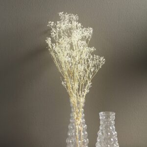 Mud Pie Preserved Babys Breath, White