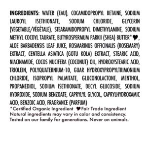 SheaMoisture Scalp Moisture Shampoo Aloe Butter & Vitamin B3 Hair Care with a Boost of Hydration To Hydrate Scalp + Moisturized Hair 13 oz