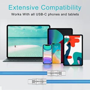 WLGQ USB C to USB C Cable, PD100W Skin-Friendly Liquid Silicone Material Fast Charging Cable USB Type C Interface Device Universal Charging Cable（Blue-6.6ft-2pcs）