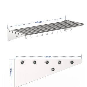 Stainless Steel Wall Mount Shelf 12 x 48 Inch, NSF Certified Shelf with Hooks, 185 lb Load Capacity Commercial Kitchen Rack Storage Shelves for Restaurant, Kitchen, Home & Hotel