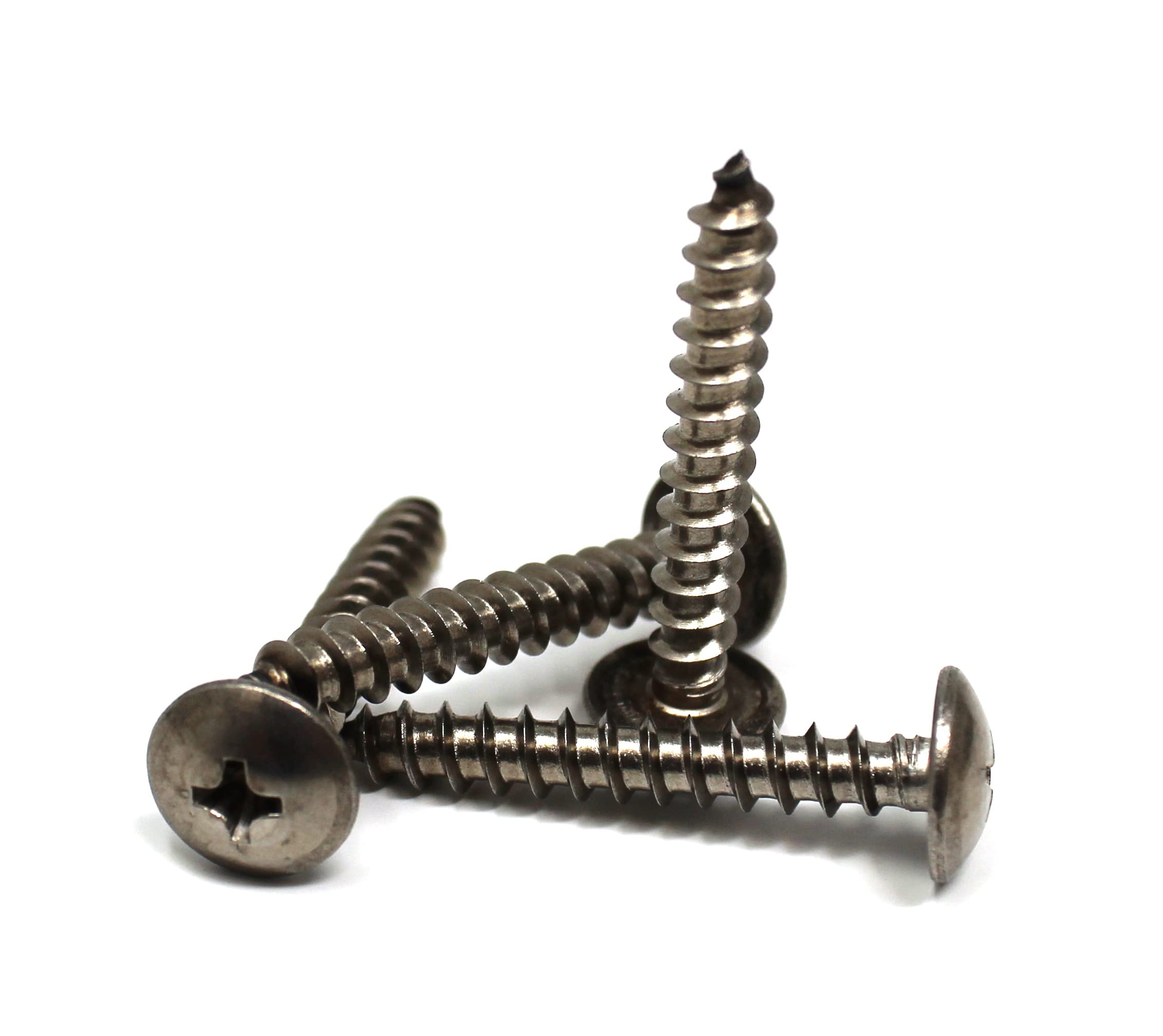 10 x1-1/4" SS Phillips Truss Head Screw Set 80 Piece Dock Bumper Edging Piling Cone Fastener