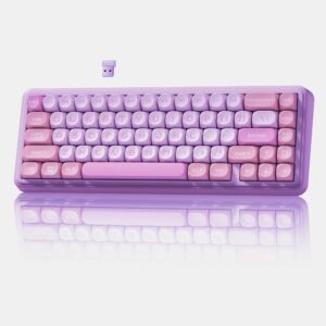 Womier WK60 60% Keyboard, Wireless Mechanical Gaming Keyboard Hot Swappable Gasket, RGB Backlit for Bluetooth/2.4GHz/USB-C, MOA PBT Keycaps, Pre-lubed POM Switches