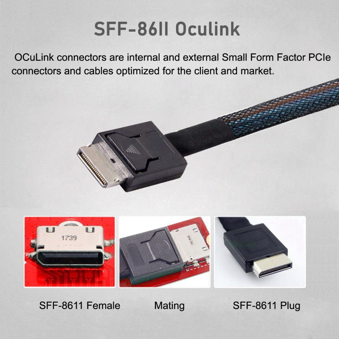 Chenyang M.2 to SFF-8611 Adapter,Oculink SFF-8612 SFF-8611 to NVME PCIe SSD M-Key 2280 22110mm Adapter for Mainboard