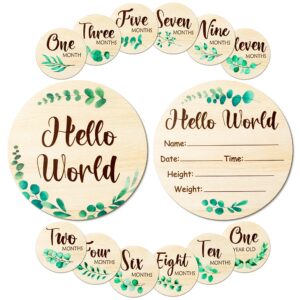 r horse wooden baby monthly milestone cards with announcement sign, 7pcs double-sided hello world baby birth announcement milestone discs, newborn month milestone first year photo props for boys girls