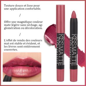 evpct 3Pcs Light Natural Pink Metallic Matte Lip Liner Pencil Crayon and Lipstick Set Long Lasting Waterproof DNM Matching Lipstick and Lip Liner Set 24 Hour labiales mate 24 horas originales 1&4&7