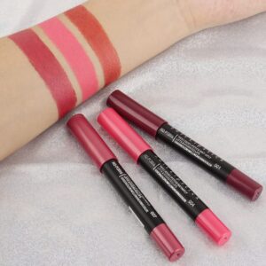 evpct 3Pcs Light Natural Pink Metallic Matte Lip Liner Pencil Crayon and Lipstick Set Long Lasting Waterproof DNM Matching Lipstick and Lip Liner Set 24 Hour labiales mate 24 horas originales 1&4&7