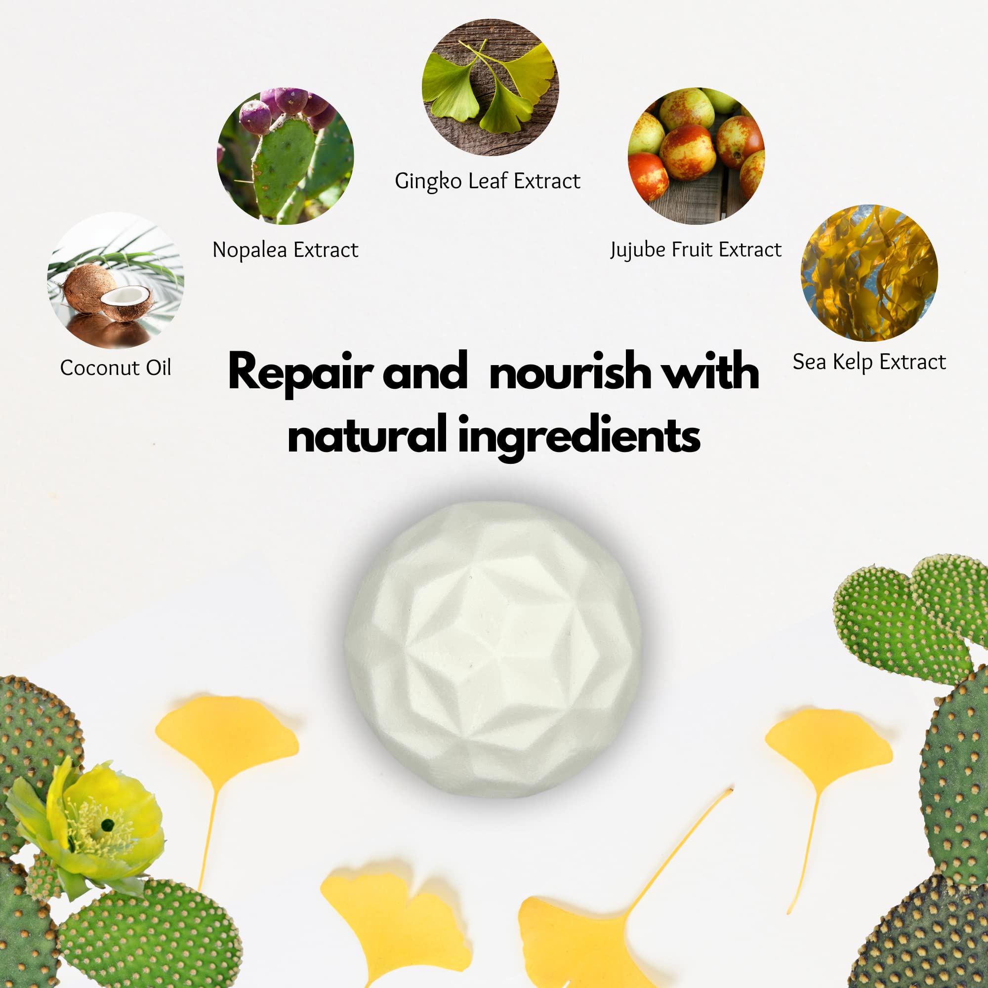 RE: REKURATOR Nourishing Solution with Conditioner Bar - Moisturizing and Silky Soft, Sulfate-Free, Cruelty-Free, 100% Vegan, Zero-Waste, Palm Oil Free